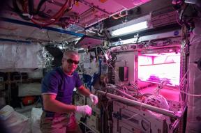 Sallad i rymden. Astronauterna odlar växter på ISS och varför det är viktigt