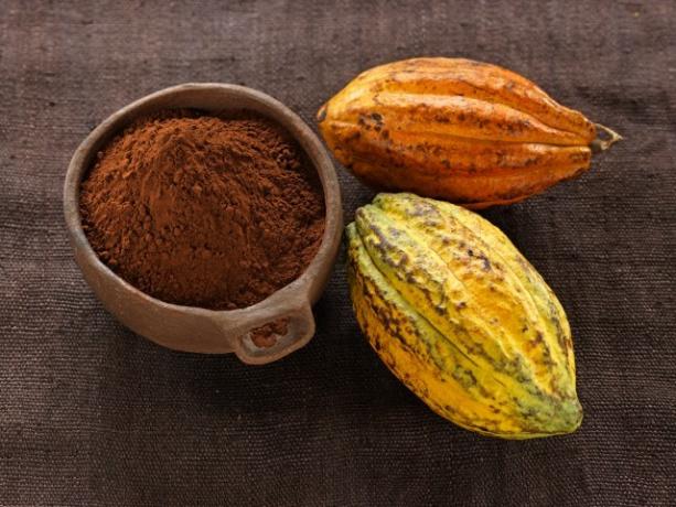 Varm choklad: kakaopulver och kakaobönor 