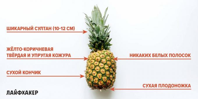 Hur man väljer en ananas: tecken på mogen ananas