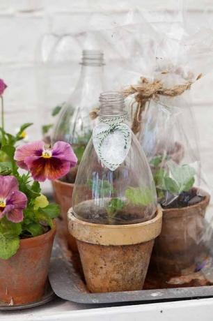 Behållare för blommor från plastflaskor