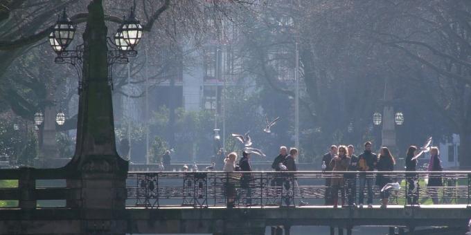 De bästa städerna i termer av livet Dusseldorf